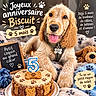 dog, puppy, golden_retriever, birthday, birthday_cake, candle, number_five, pet, animal, sitting, tongue_out, floppy_ears, golden_fur, collar, dog_tag, paw_prints, plush_toy, blanket, indoor, celebration