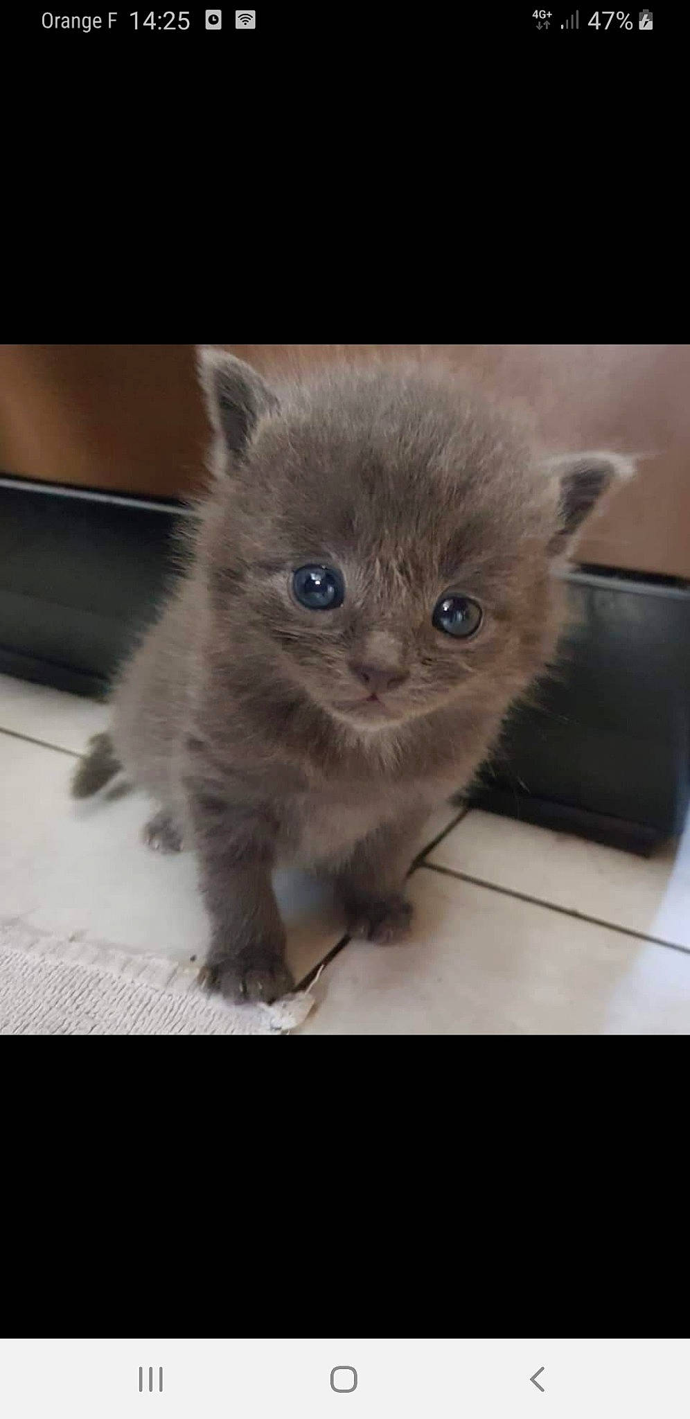 Paco