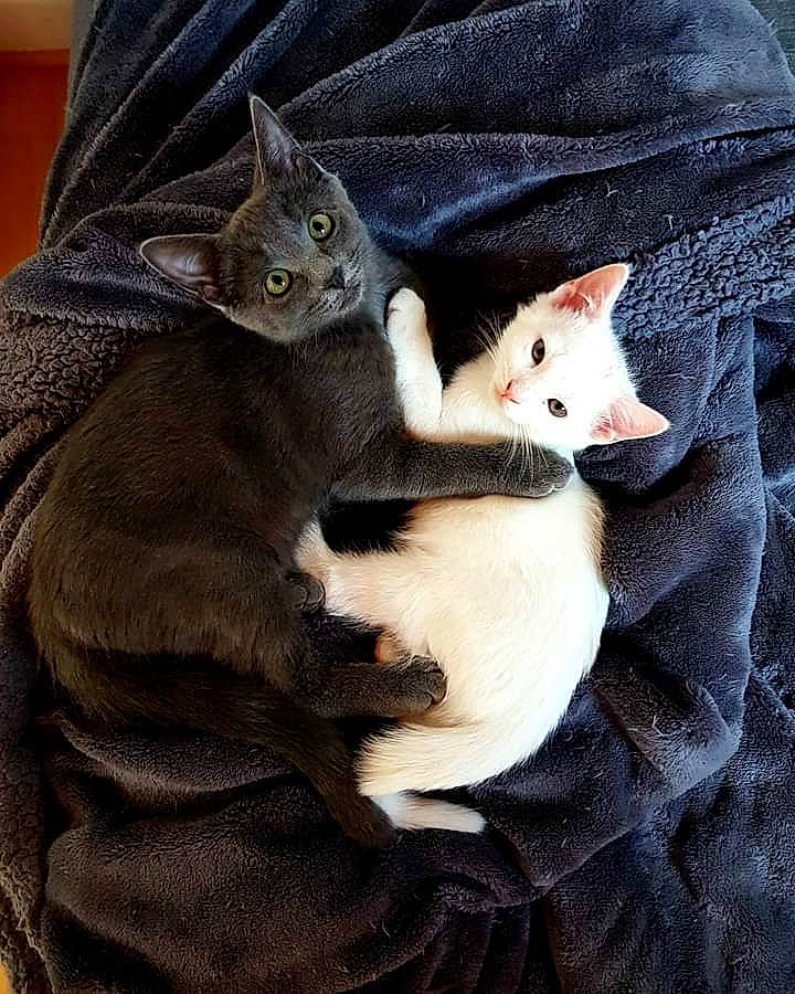 Paco Et Plume