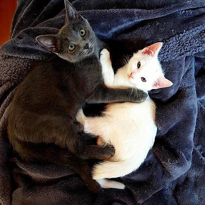 Paco Et Plume