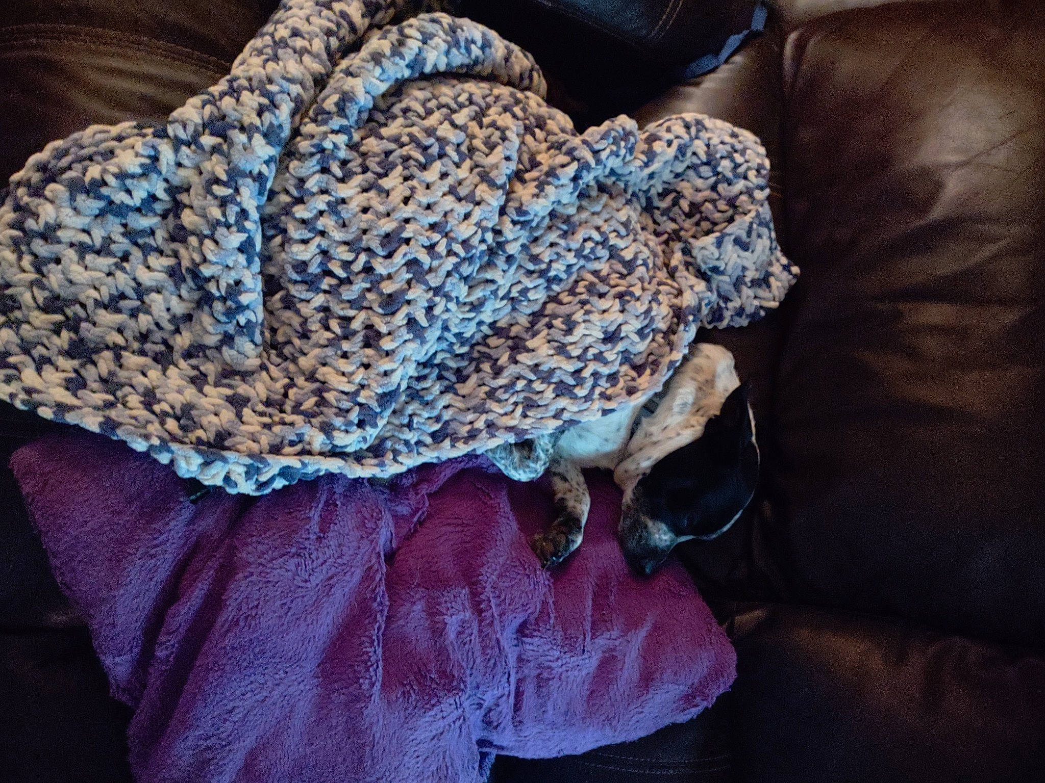 Mitzi Moo Moo is registered to the contest to win money with this photo: arm, art, cap, comfort, craft, creative_arts, electric_blue, fashion_accessory, hair_accessory, knit_cap, magenta, pattern, purple, scarf, shawl, sleeve, thread, wool, woolen, wrist