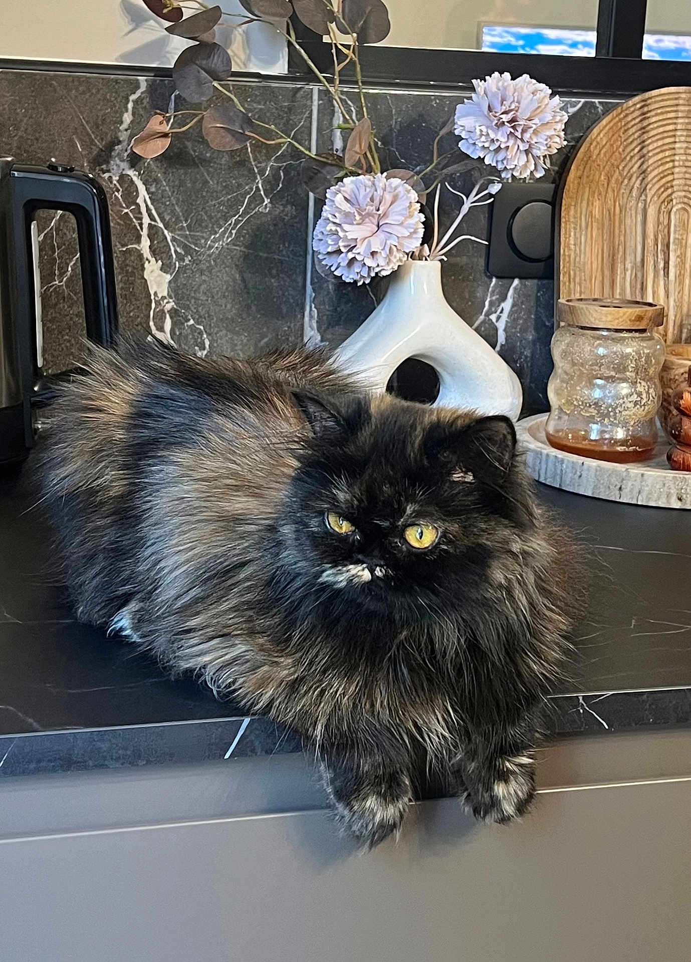Nousha participe au concours pour gagner de l'argent avec cette photo : cat, tortoiseshell, fluffy, yellow_eyes, kitchen, countertop, marble, vase, flowers, wooden_cutting_board, jar, modern, interior, pet, feline, domestic_animal, relaxed, indoor, decor, curious