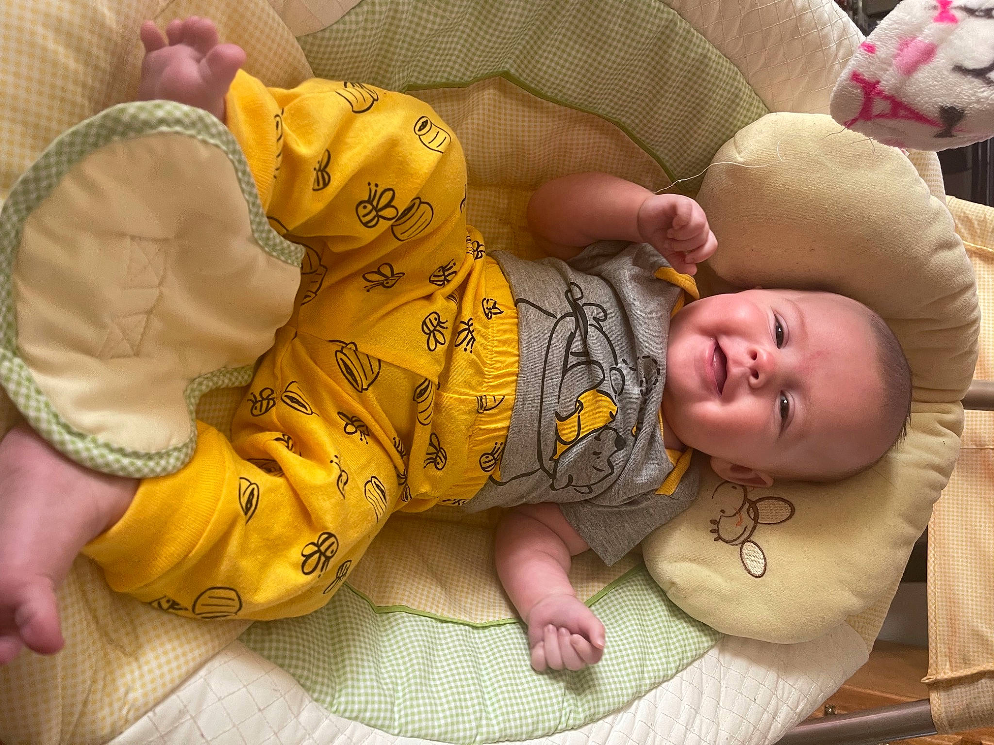 Veda is registered to the contest to win money with this photo: baby, baby_products, baby_sleeping, baby_toddler_clothing, cheek, child, comfort, eye, face, facial_expression, finger, foot, happy, head, human_body, linens, person, skin, smile, thumb