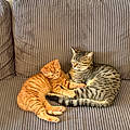 Titouan B.