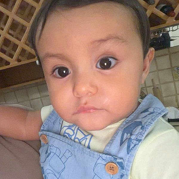 Dylan