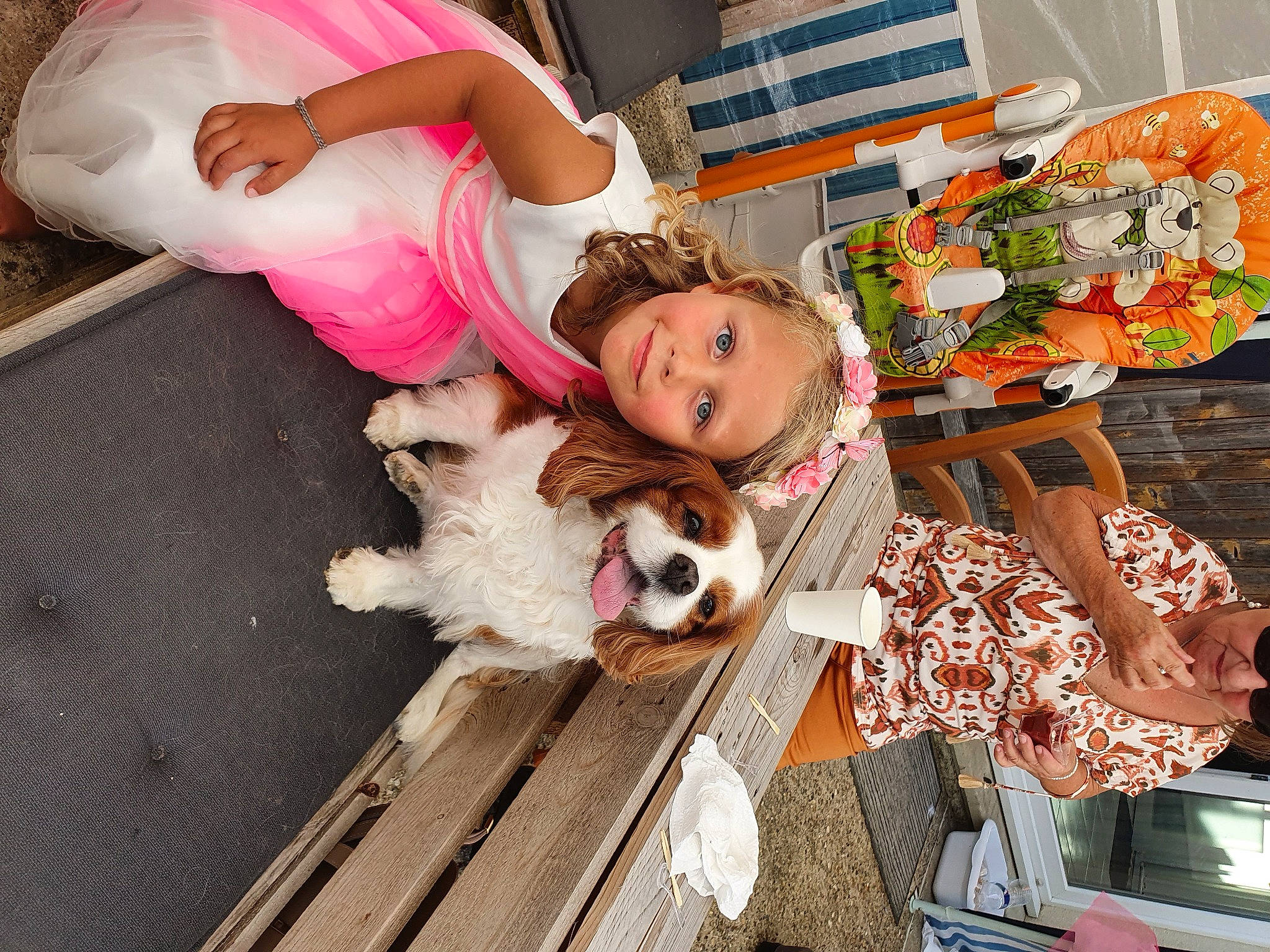 Manoa participe au concours pour gagner de l'argent avec cette photo : carnivore, companion_dog, dog, dog_breed, event, flooring, fun, fur, happy, headwear, joy, leash, leisure, person, plant, room, smile, toddler, toy, toy_dog