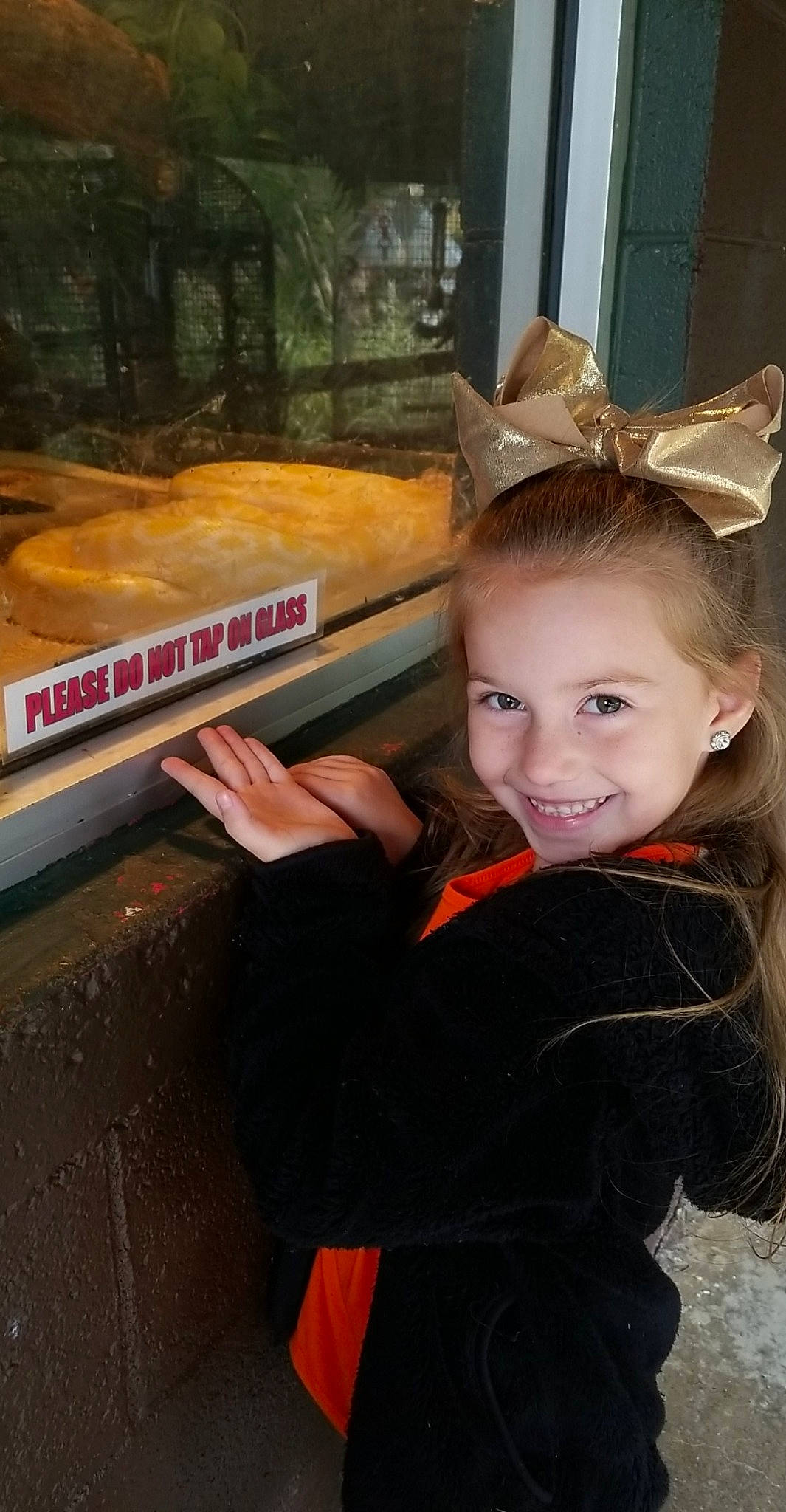 Collieonia joined the competition — help win amazing prizes! child, child_model, hairstyle, joy, person, toddler