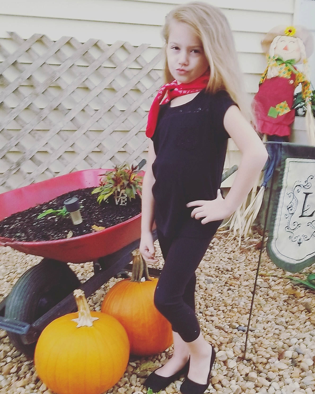 Collieonia is registered to the contest to win money with this photo: blond, fruit, person, plant, pumpkin