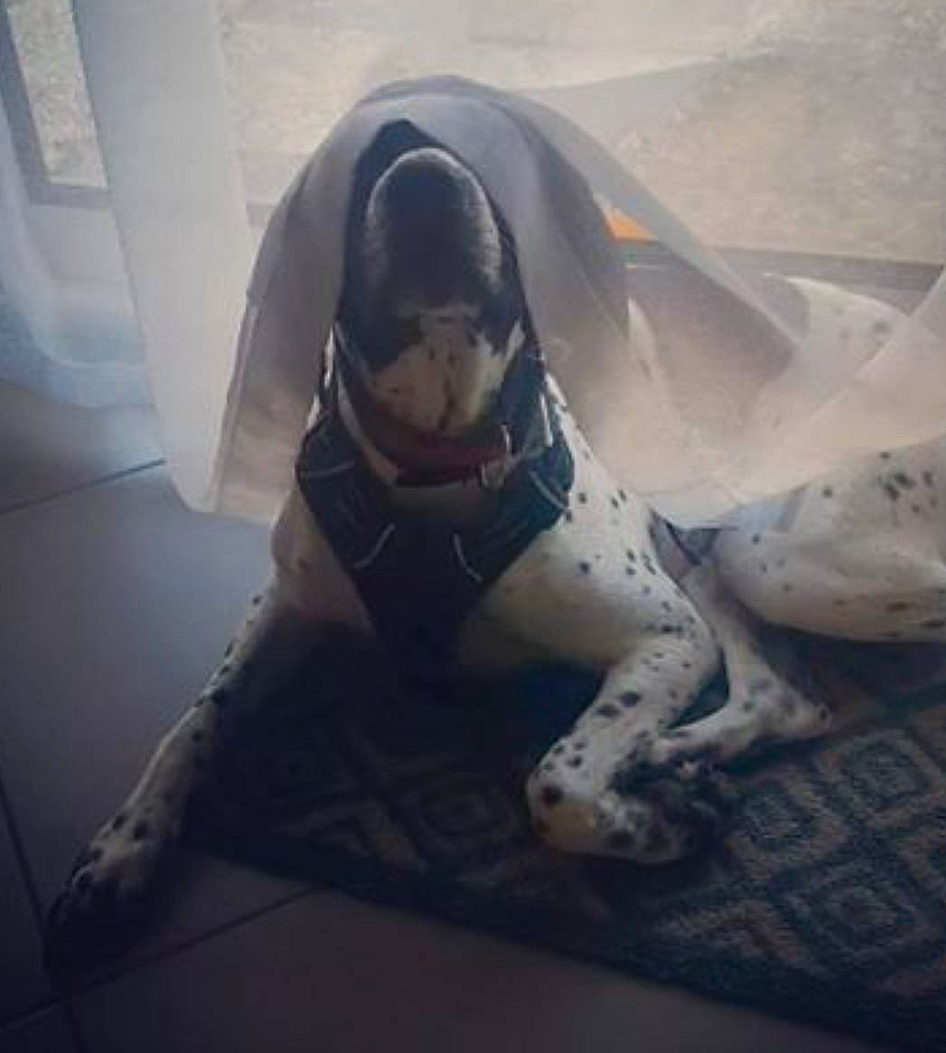 Nali participe au concours pour gagner de l'argent avec cette photo : cloud, floor, footwear, leg, mountain, photography, shoe, sky, space