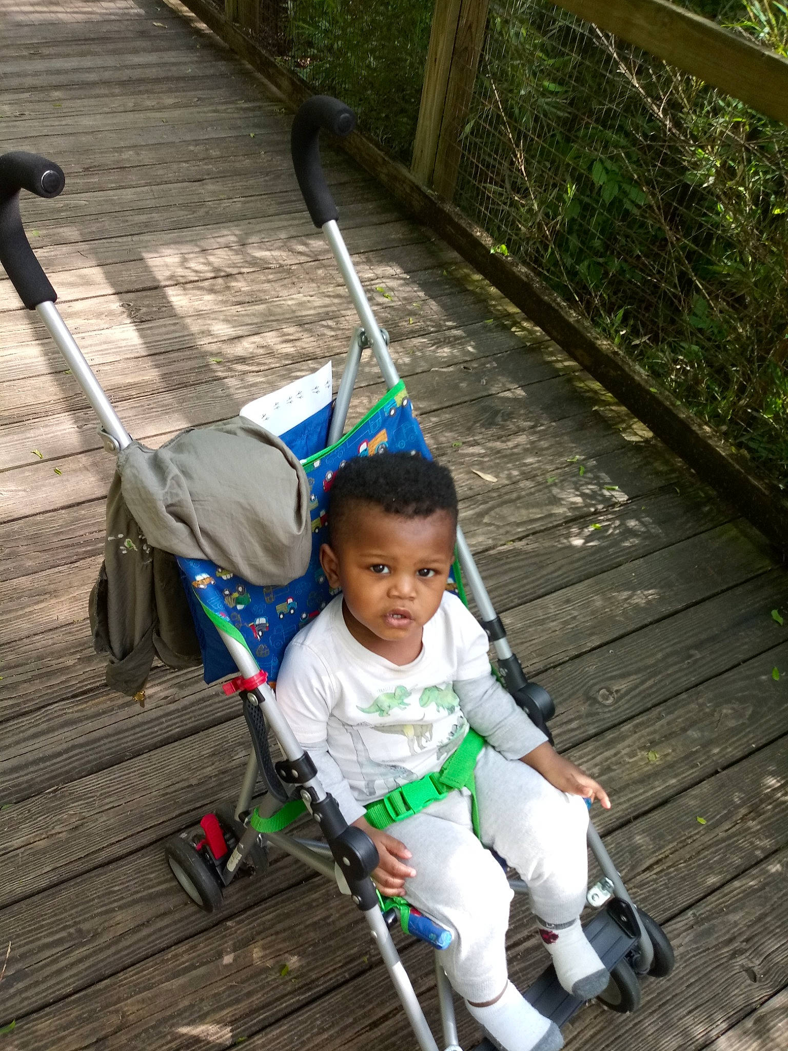 Hakeem is registered to the contest to win money with this photo: child, leisure, person, plant, product, smile, tree