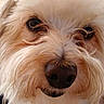 Ollie is registered to the contest to win money with this photo: