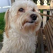 Ollie joined the competition — help win amazing prizes!