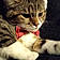 Titou