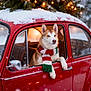 dog, husky, scarf, red_car, snow, winter, holiday, christmas_lights, pine_tree, vintage_car, window, animal, outdoor, cold_weather, festive, canine, pet, seasonal, nature, cozy