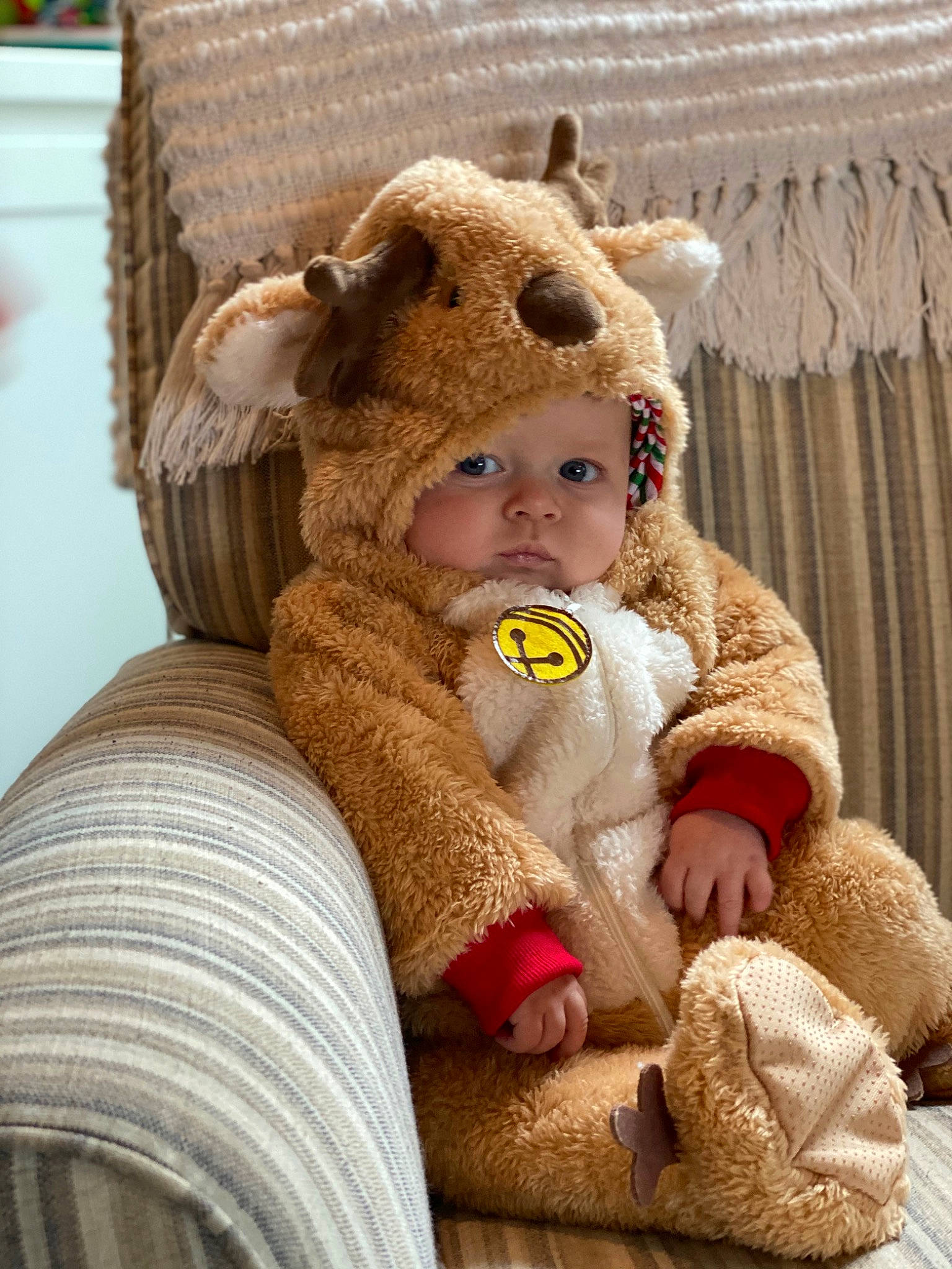 Liam joined the competition — help win amazing prizes! baby, child, ear, fawn, fur, person, plush, room, stuffed_toy, teddy_bear, toddler, toy