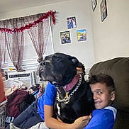 Nina is registered to the contest to win money with this photo: air_conditioner, black_dog, boy, casual_clothing, chain_collar, child, couch, curtains, dog, family_photos, furniture, garland, hugging, indoor, laundry_basket, living_room, messy_room, smiling, thumb, window