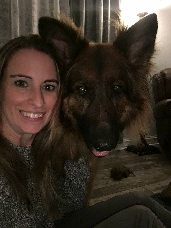 Kato is registered to the contest to win money with this photo: canidae, carnivore, companion_dog, curtain, dog, dog_breed, ear, fawn, flash_photography, fun, fur, happy, herding_dog, jaw, long_hair, sitting, smile, snout, sporting_group, working_dog