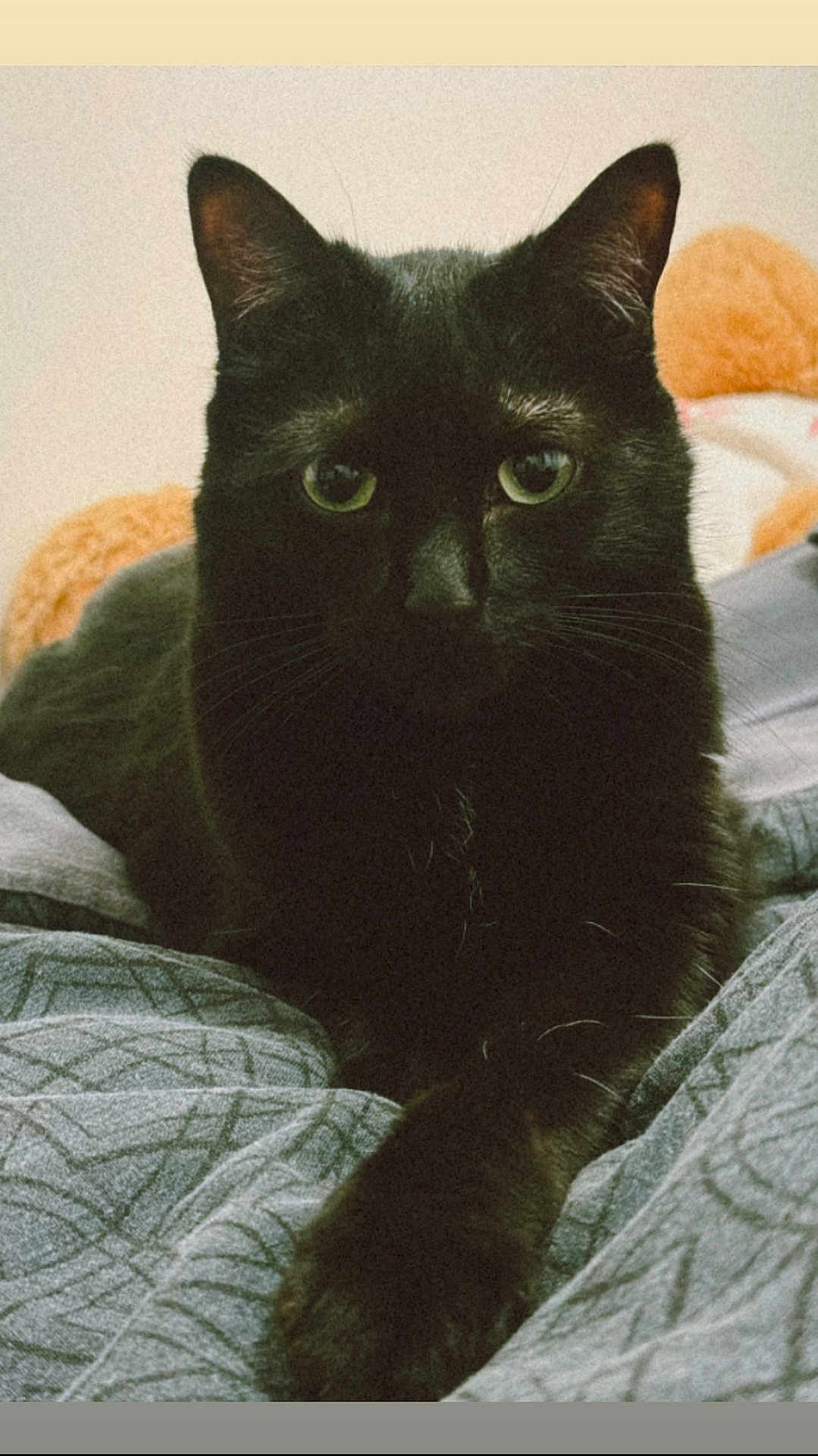 Neya