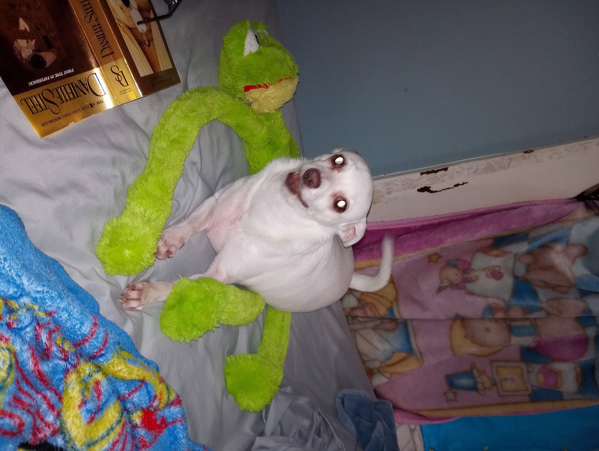 Angel joined the competition — help win amazing prizes! amphibian, baby_products, baby_toys, bed_sheet, comfort, linens, pattern, plush, purple, room, stuffed_toy, teddy_bear, toy