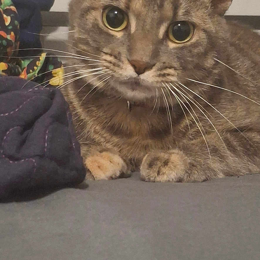 Mia