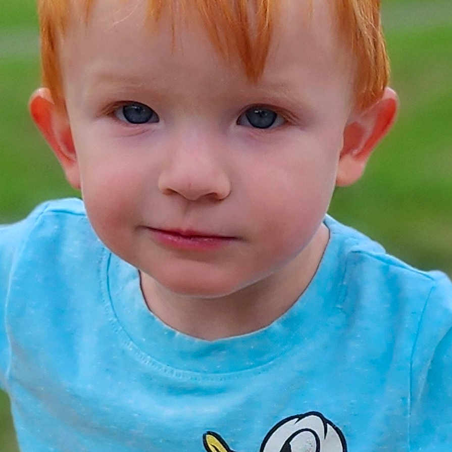 Carter is registered to the contest to win money with this photo: animal, blonde, boy, child, clothing, face, grass, hair, happy, head, invertebrate, male, person, photography, plant, portrait, shirt, smile, spider, t_shirt