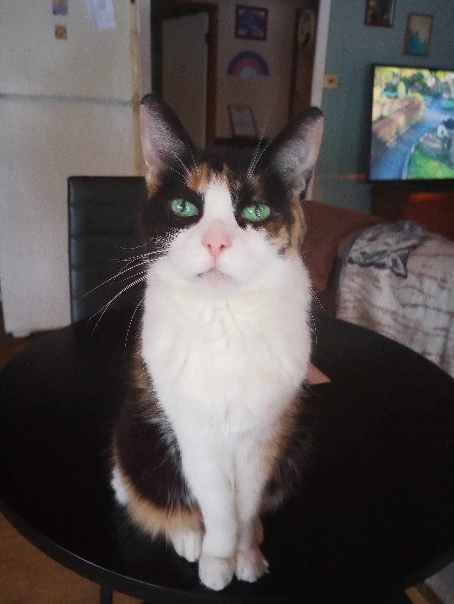 Captain Jack Sparrow