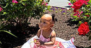 Denver joined the competition — help win amazing prizes! toddler, child, pink_dress, blanket, flowers, red_flowers, mulch, outdoor, daylight, trees, car, parking_lot, greenery, cute, baby, sitting, portrait, nature, sunlight, shoes
