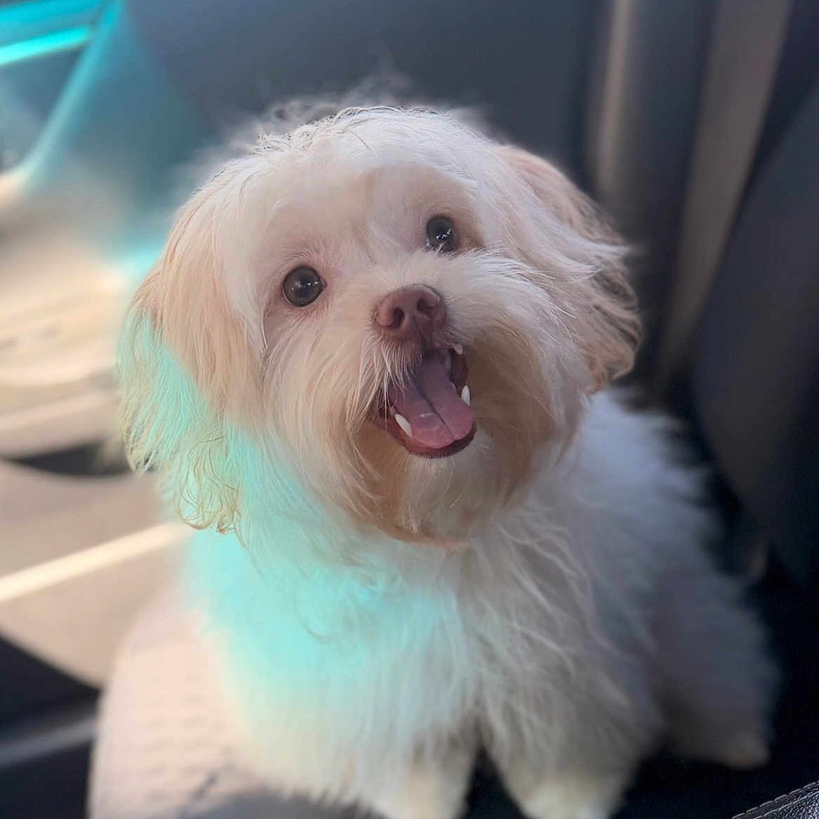 Bailey