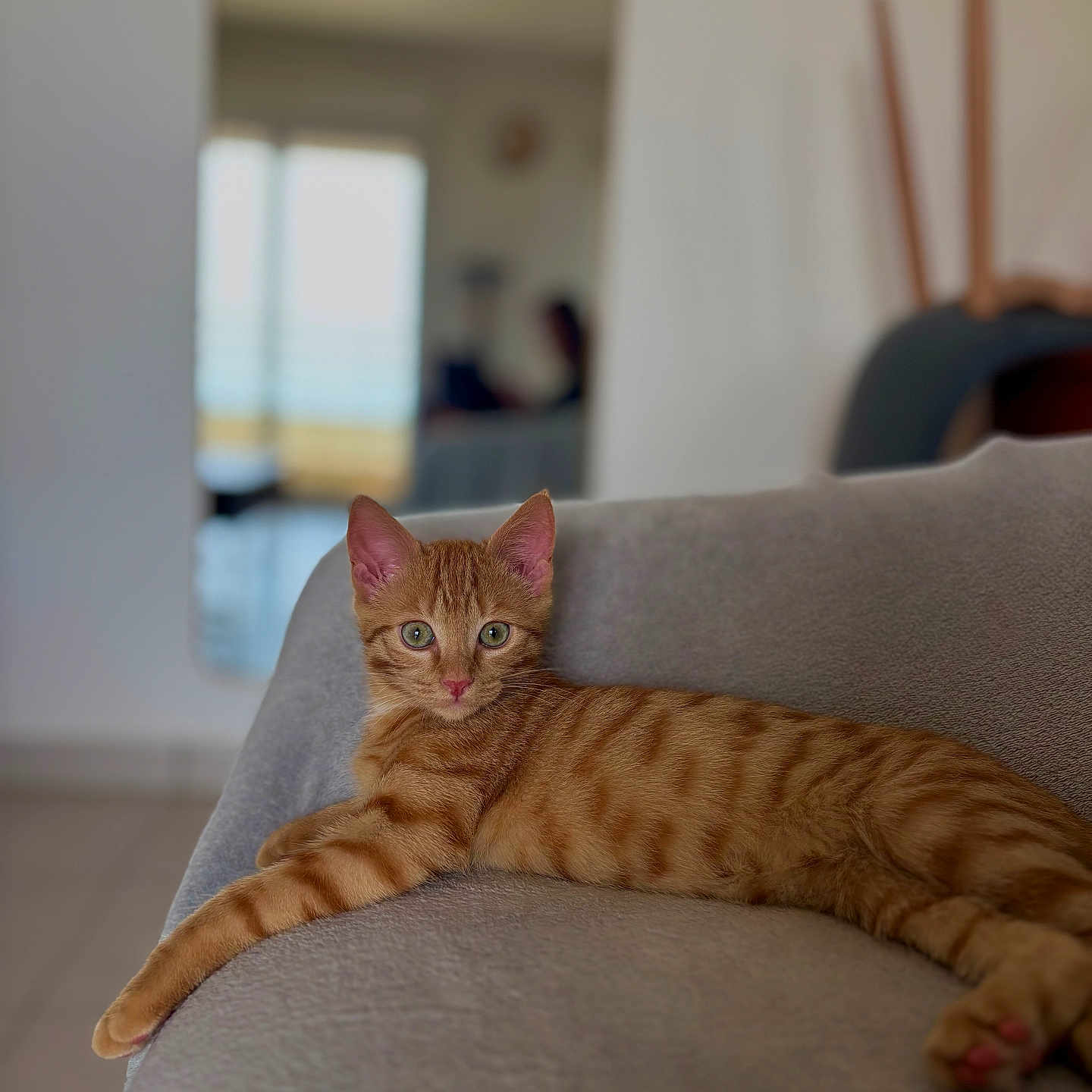 Bobby