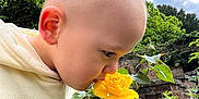 Tom joined the competition — help win amazing prizes! brick_wall, budding_rose, child, cloud, curious, face, flower, garden, grass, greenery, head, innocence, leaf, nature, outdoor, plant, sky, toddler, yellow_rose, young_child