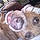 Cinnamon Mouse