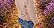 Adélio participe au concours pour gagner de l'argent avec cette photo : toddler, child, lavender_field, purple_flowers, sunset, golden_hour, nature, outdoor, jeans, sneakers, pointing, grass, pathway, back_view, casual_clothing, young_child, scenic, plants, sunlight, curious