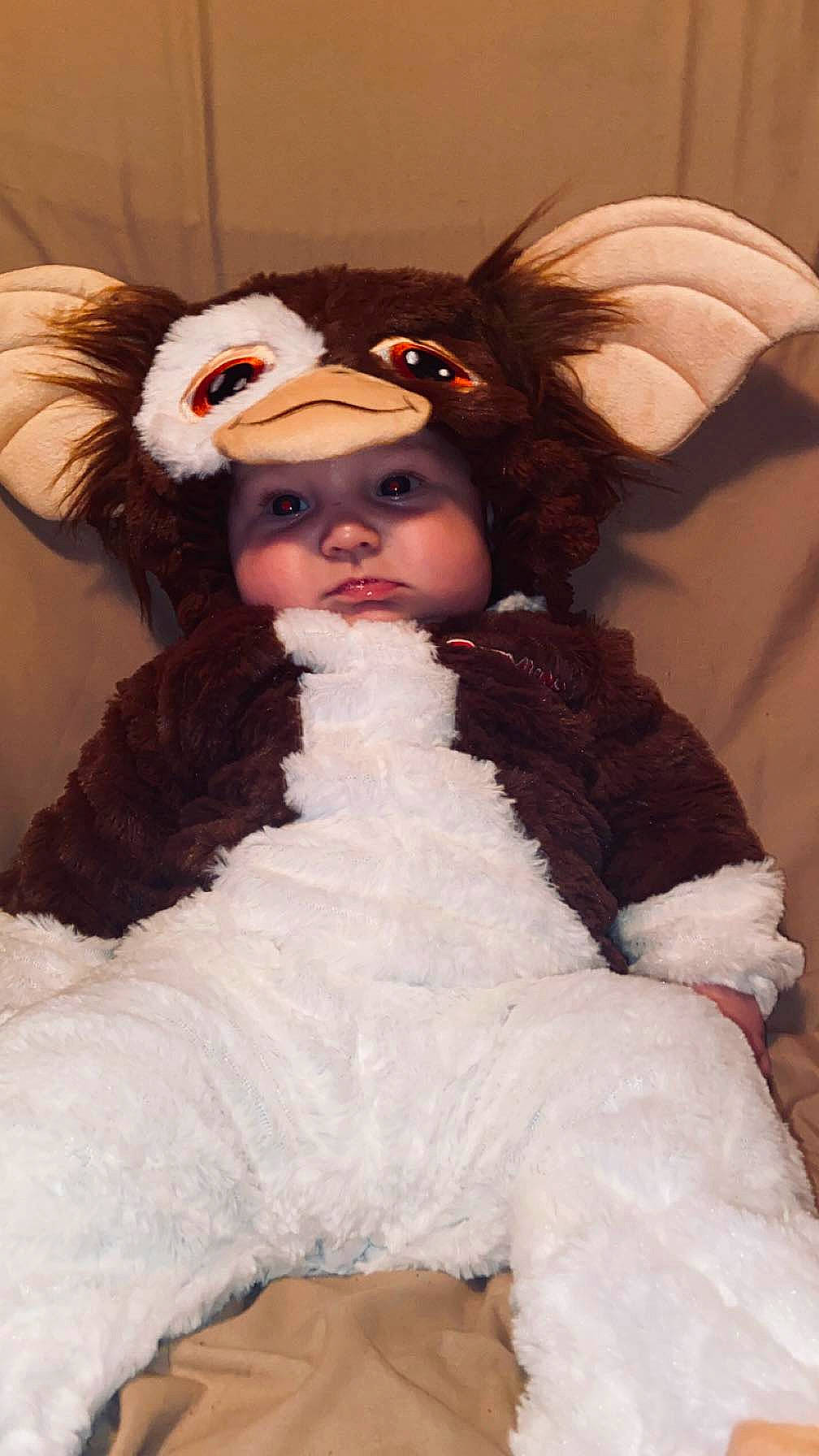 Cashton joined the competition — help win amazing prizes! child, costume, costume_hat, doll, event, eye, eyelash, fashion_design, fun, fur, fur_clothing, hat, headwear, human_body, iris, person, plush, skin, stuffed_toy, toddler