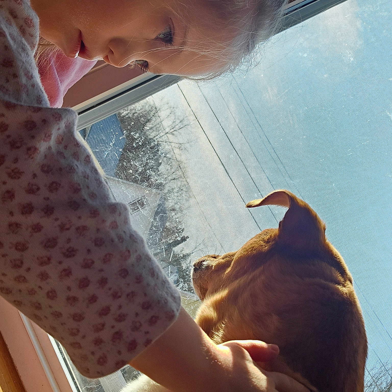 Elliotte is registered to the contest to win money with this photo: cool, ear, eyewear, fawn, finger, fish, fun, happy, jaw, livestock, mammal, mouth, nose, sky, smile, sunlight, vehicle_door, vertebrate, windshield, working_animal