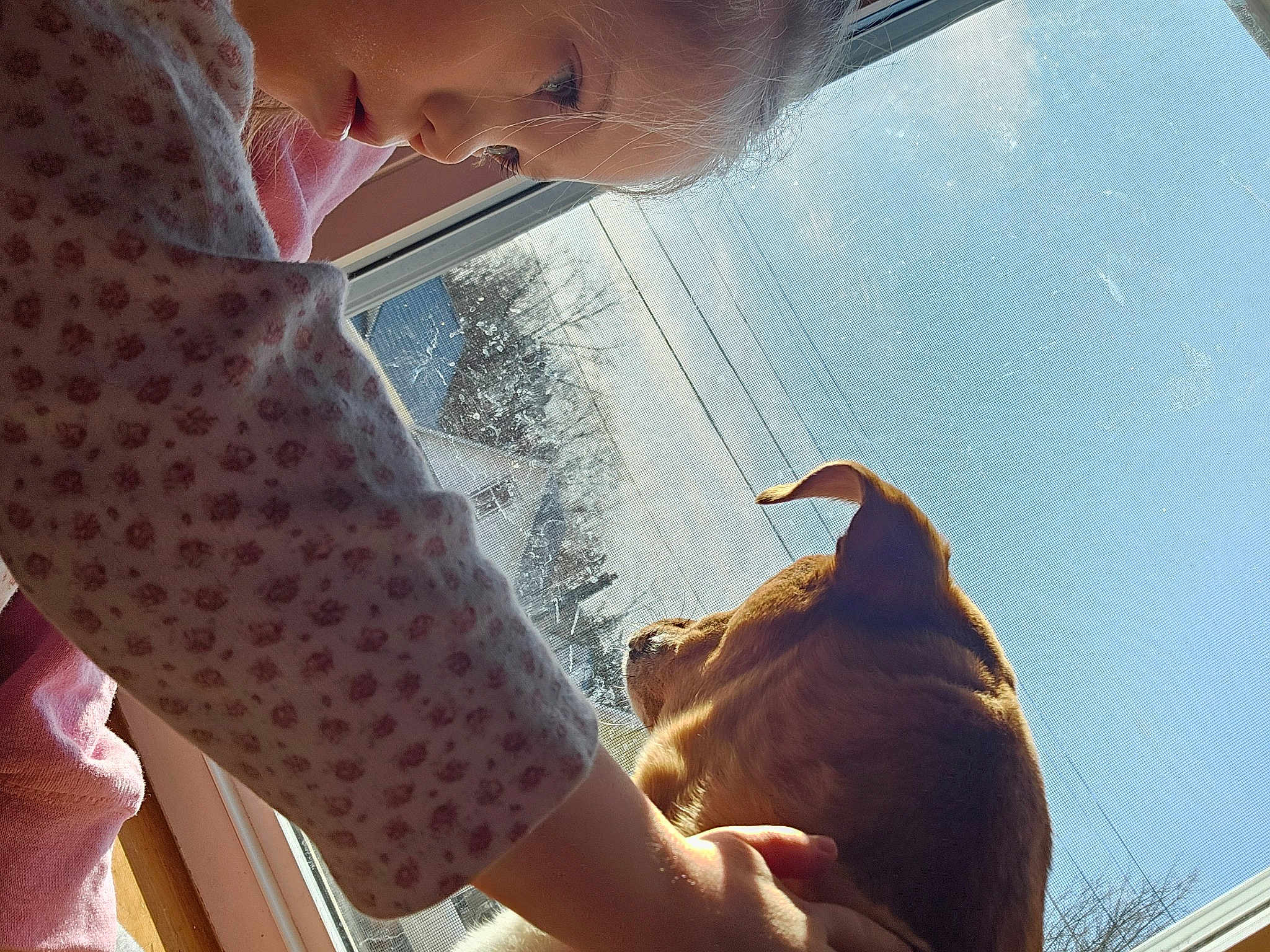 Elliotte is registered to the contest to win money with this photo: cool, ear, eyewear, fawn, finger, fish, fun, happy, jaw, livestock, mammal, mouth, nose, sky, smile, sunlight, vehicle_door, vertebrate, windshield, working_animal