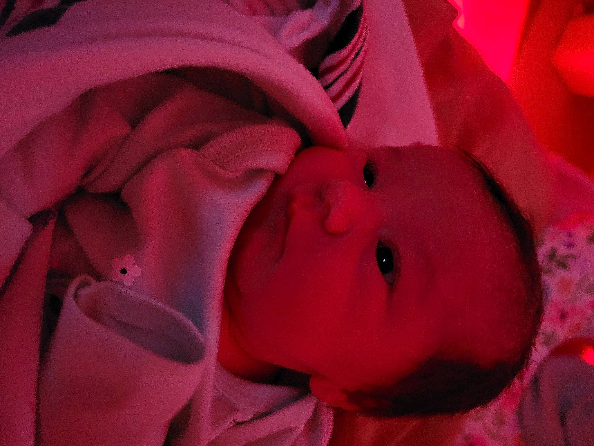 Remie joined the competition — help win amazing prizes! baby, baby_toddler_clothing, carmine, cheek, child, close_up, eyelash, face, fashion_accessory, lip, magenta, mouth, nose, person, petal, pink, plant, purple, skin, toddler