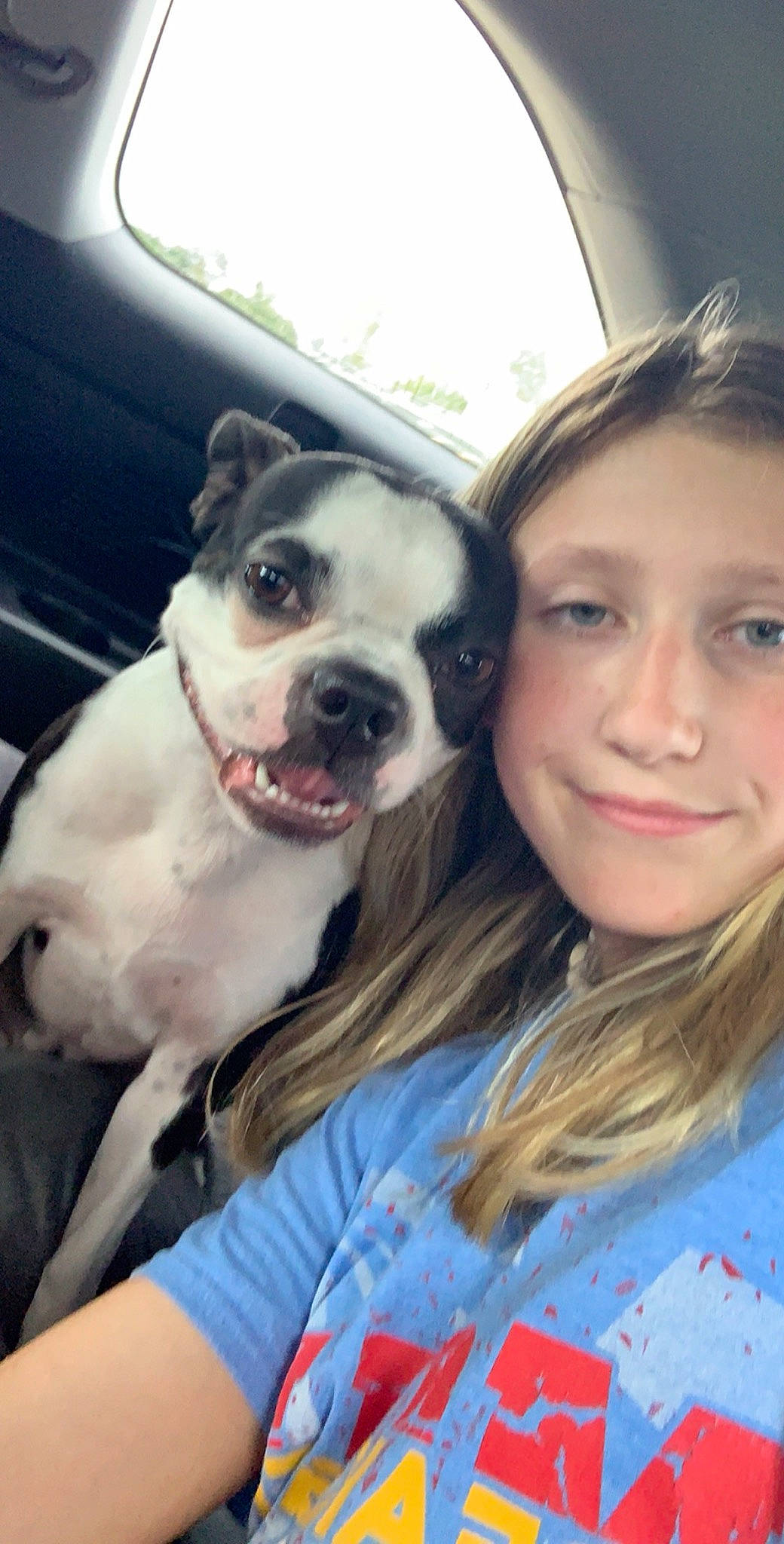 Stella is registered to the contest to win money with this photo: boston_terrier, canidae, carnivore, companion_dog, cool, dog, dog_breed, eye, face, fawn, head, mammal, non_sporting_group, nose, photography, pit_bull, puppy_love, selfie, smile, snout