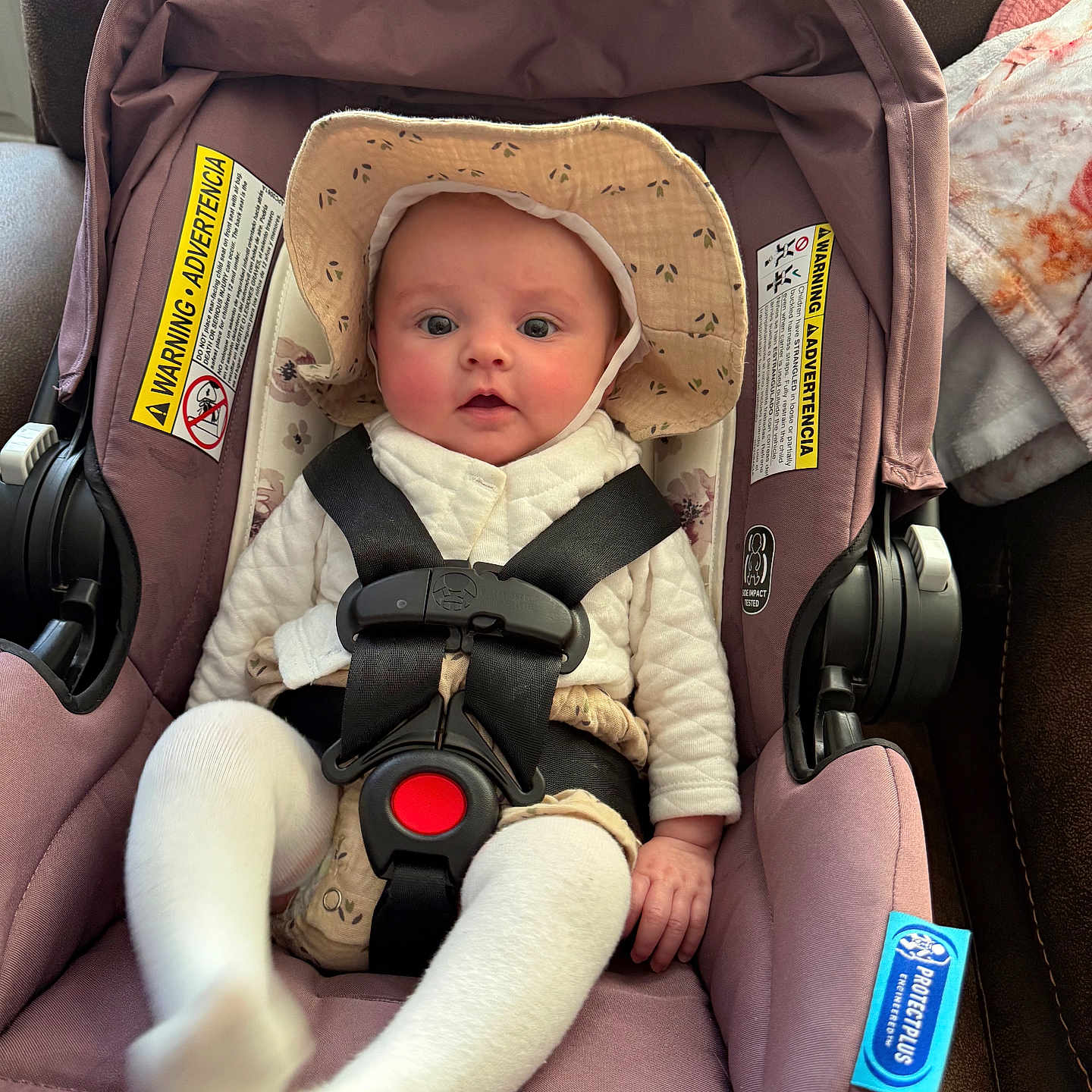 Emmy joined the competition — help win amazing prizes! baby, infant, car_seat, hat, white_clothing, safety_belt, seat_belt, face, child, cute, indoors, fabric, blanket, warning_label, pink, mauve, person, seat, sitting, portrait