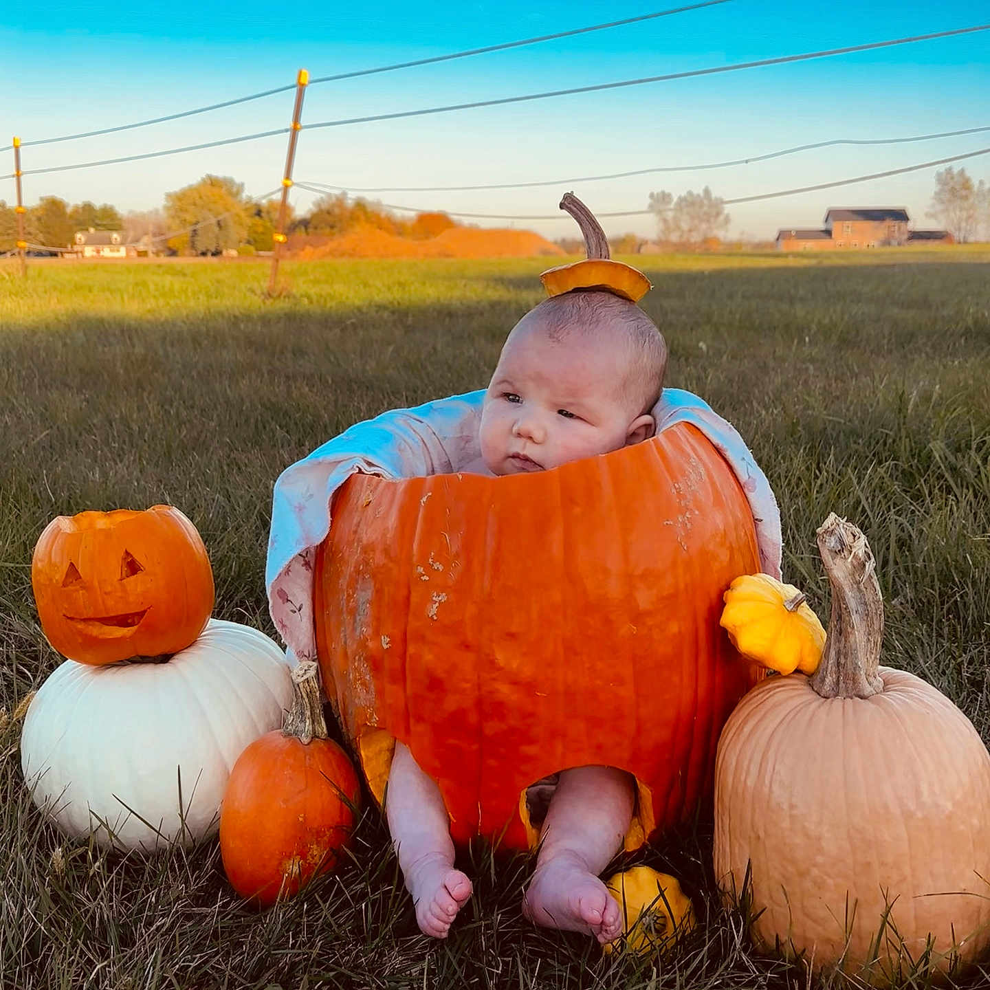 Mayzie is registered to the contest to win money with this photo: autumn, baby, bare_feet, blanket, carving, cute, fall, farm, field, gourd, grass, house, infant, jack_o_lantern, outdoor, portrait, pumpkin, seasonal, sky, sunset