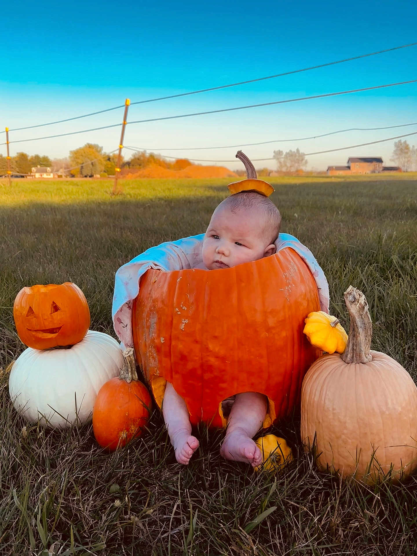 Mayzie is registered to the contest to win money with this photo: baby, infant, pumpkin, jack_o_lantern, gourd, grass, field, autumn, fall, outdoor, sky, farm, house, sunset, portrait, cute, bare_feet, blanket, carving, seasonal