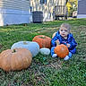 baby, child, infant, pumpkins, pumpkin_patch, autumn, halloween, outdoor, grass, yard, house, deck, trees, sunlight, blue_jacket, striped_shirt, sitting, portrait, harvest, seasonal