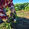 Hunter joined the competition — help win amazing prizes! child, toddler, adult, gardening, farming, vegetable_garden, leafy_greens, harvesting, outdoors, daylight, blue_sky, soil, plants, family, sitting, winter_clothing, scarf, patterned_coat, hands, rural