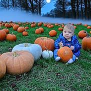 Hunter joined the competition — help win amazing prizes! baby, child, pumpkin, pumpkin_patch, autumn, fall, outdoor, grass, forest, trees, moon, mist, blue_jacket, sitting, portrait, nature, harvest, orange, white_pumpkin, seasonal