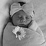 baby, black_and_white, blanket, bow, close_up, cozy, cute, daisy, flower, headband, indoors, infant, newborn, peaceful, portrait, resting, sleeping, soft_texture, tender, wrapped