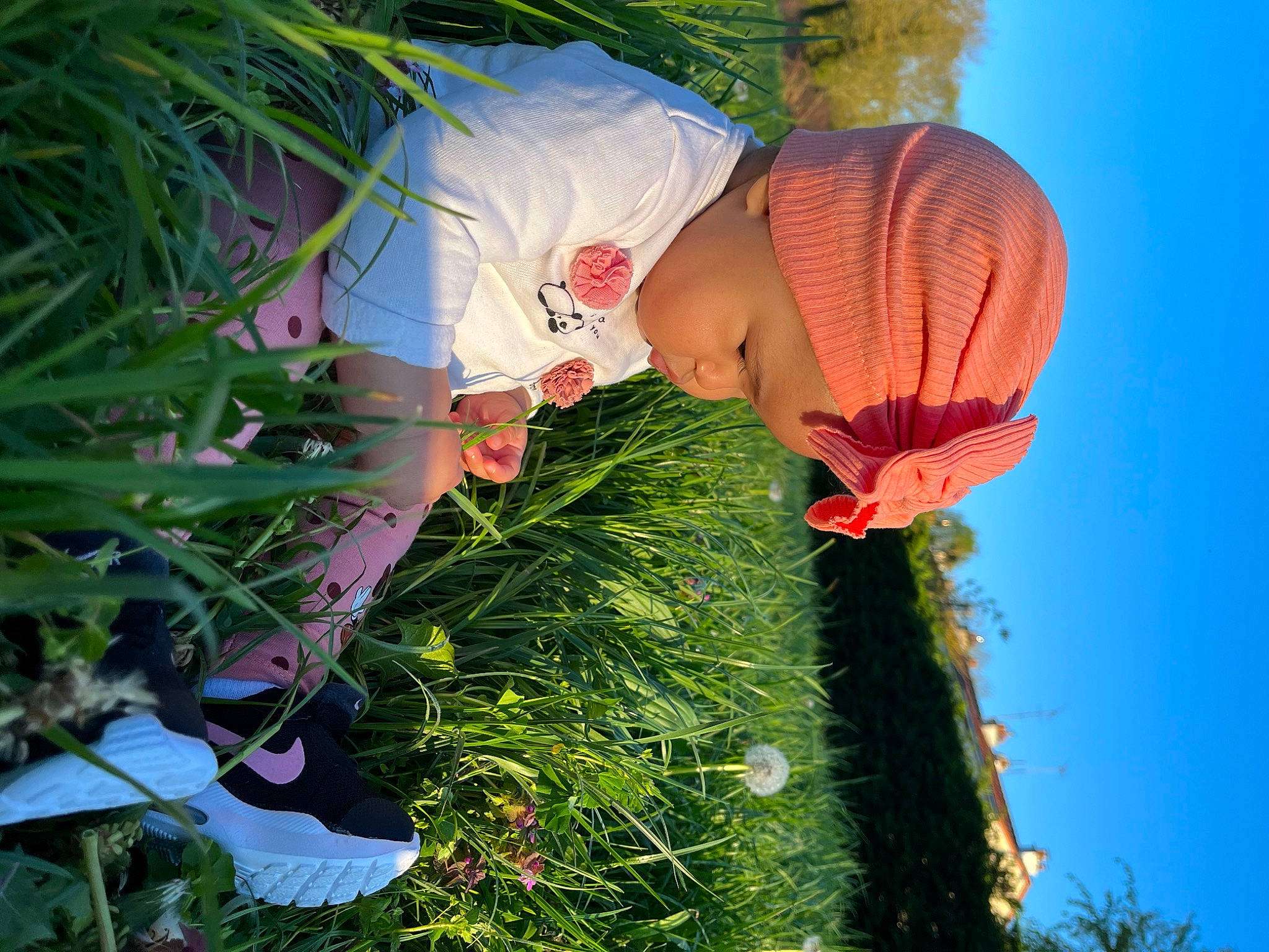 Lyana a rejoint le concours — aidez-le/la à gagner de superbes lots ! adaptation, botany, dress, flower, grass, grass_family, green, happy, headwear, leaf, leisure, meadow, nature, organism, people_in_nature, person, petal, plant, sky, terrestrial_plant