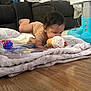 baby, toy, floor, blanket, couch, living_room, child, infant, play, tummy_time, wooden_floor, soft_toy, colorful, furniture, indoors, cute, exploration, smiling, person, comfort