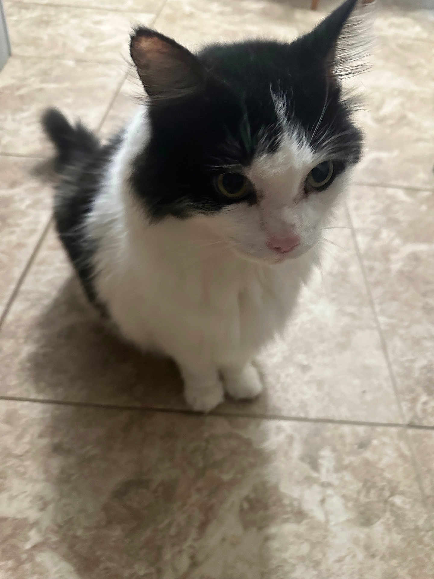 Jax