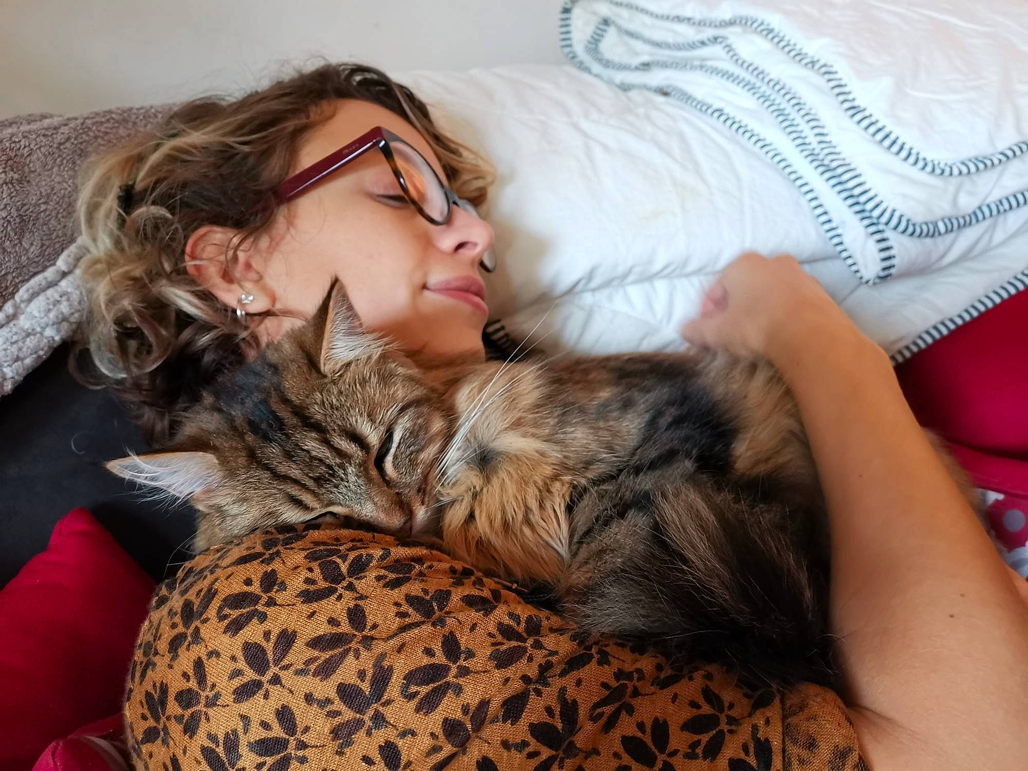 Ewok a rejoint le concours — aidez-le/la à gagner de superbes lots ! bed, bedding, brown_hair, carnivore, cat, comfort, companion_dog, couch, domestic_short_haired_cat, eyelash, fawn, felidae, flooring, fur, human_leg, linens, long_hair, sitting, small_to_medium_sized_cats, whiskers