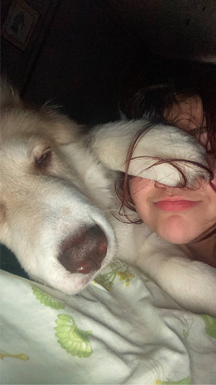 Simon joined the competition — help win amazing prizes! carnivore, companion_dog, dog, dog_breed, ear, eyebrow, eyelash, eyewear, fang, fur, gesture, happy, jaw, mouth, nose, selfie, smile, snout, vision_care, whiskers