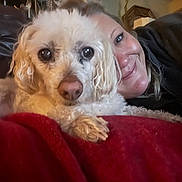 Snowflake joined the competition — help win amazing prizes! dog, person, close_up, smiling, blanket, indoor, couch, curly_fur, face, pet, relaxed, friendship, cozy, comfort, home, cute, animal, person_smiling, fur, snuggling